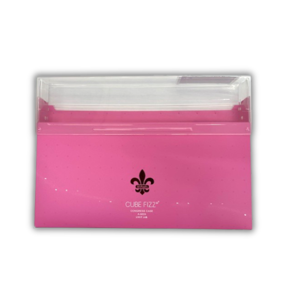 取り出しやすいファイルケース コングレスケースA4対応 St.Paul’sマーク入り